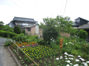 20110703_6467.jpg