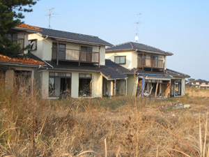 20111009_8310.jpg