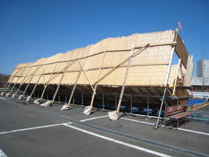 20120321_1197.jpg