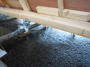 20120321_1207.jpg