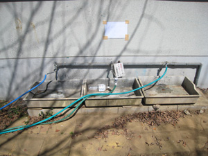 20120321_1217.jpg